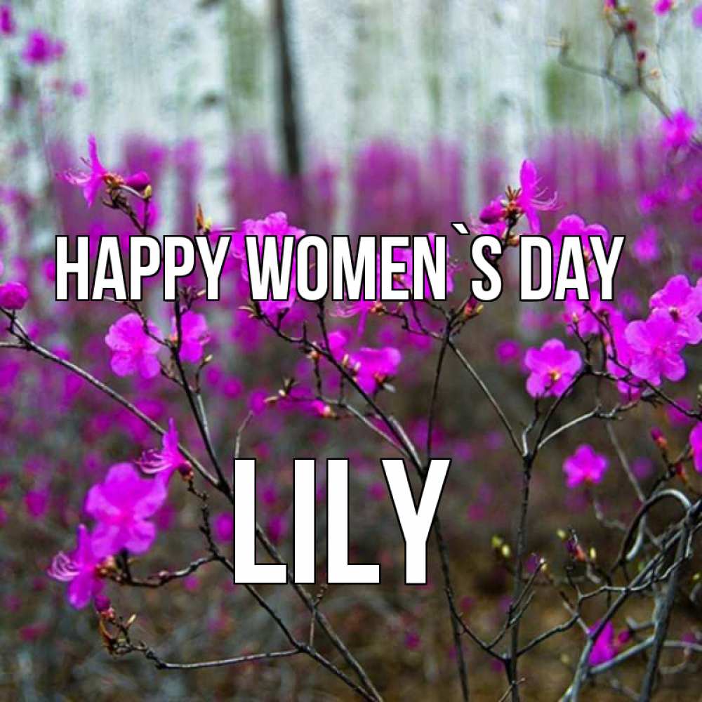 Greetings card с именем, Lily happy women`s day дикие цветы Greetings with text for free download 